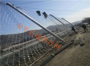 攔碎石被動防護(hù)網(wǎng) 攔碎石被動防護(hù)網(wǎng)安裝